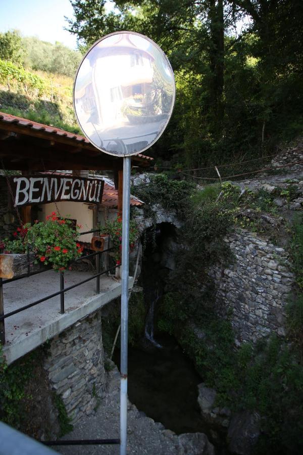 Villa A Cà Du Barbijum Pieve di Teco Esterno foto